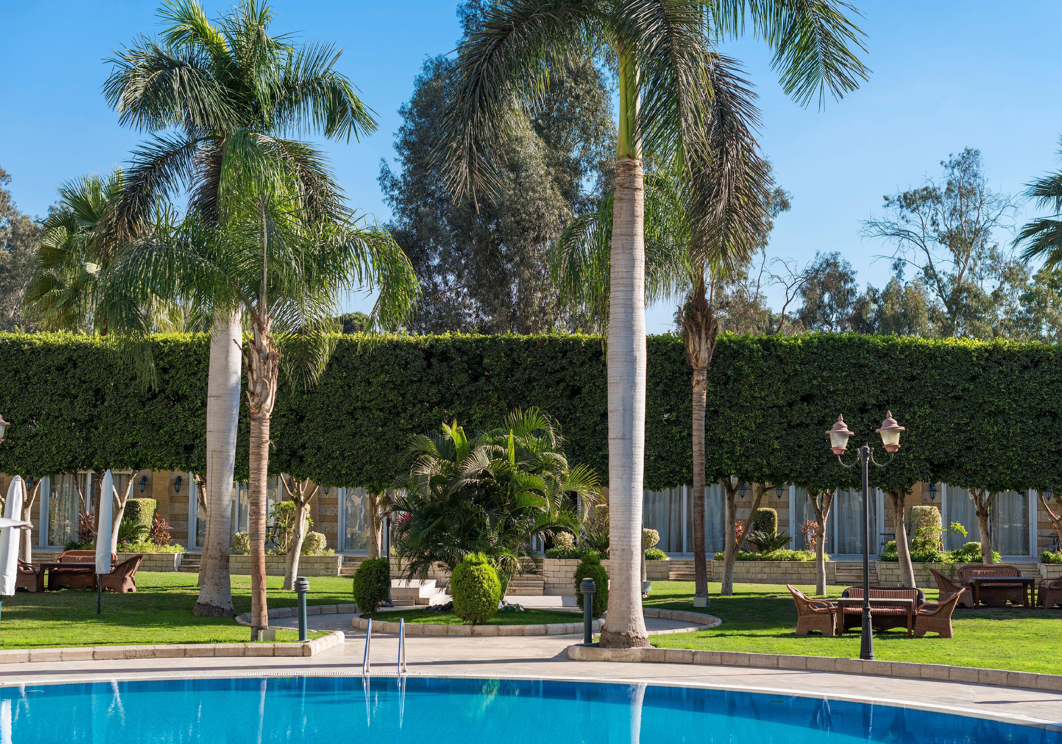 콘코드 엘 살람 호텔 카이로 시설 사진 The pool at the hotel